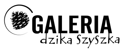 Shoper demo brak logo - strona główna